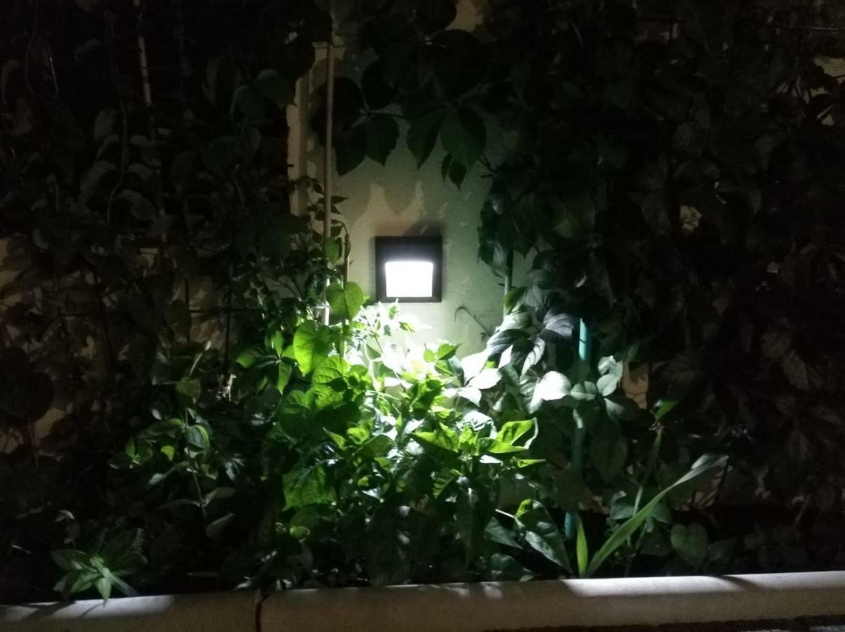 Apartman Pejic,Makarska,Veliko Brdo Buitenkant foto